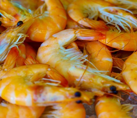 Nudeln, Reis, Garnelen und Couscous: Rückrufe bei Intermarché, Carrefour, Casino und Super U