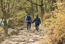 Mangel an Sport und Bewegung erhöht das Risiko, an Covid-19 zu sterben