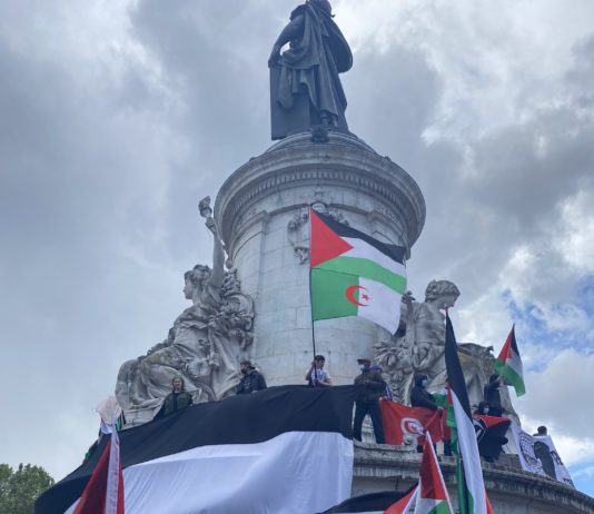 Tausende demonstrieren erneut in Frankreich zur Unterstützung der Palästinenser