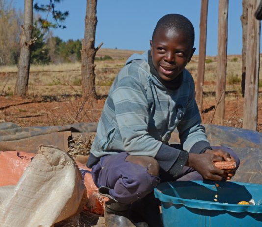 Pariser Gipfel soll Afrika bei der Finanzierung des Kampfes gegen den Terrorismus helfen