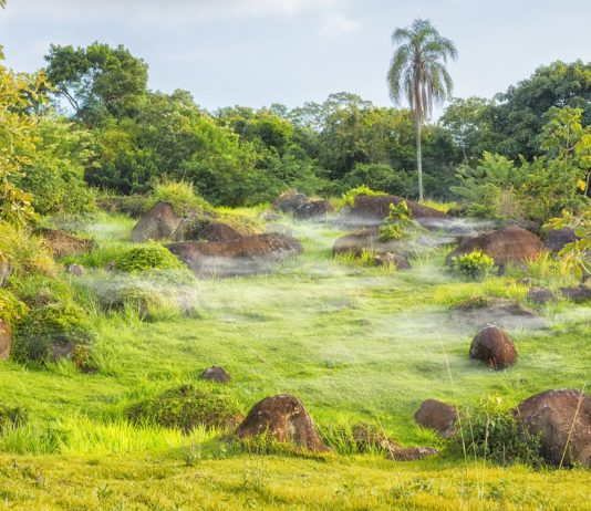 Klar, das Klima wandelte sich schon immer – aber noch nie so schnell wie heute!