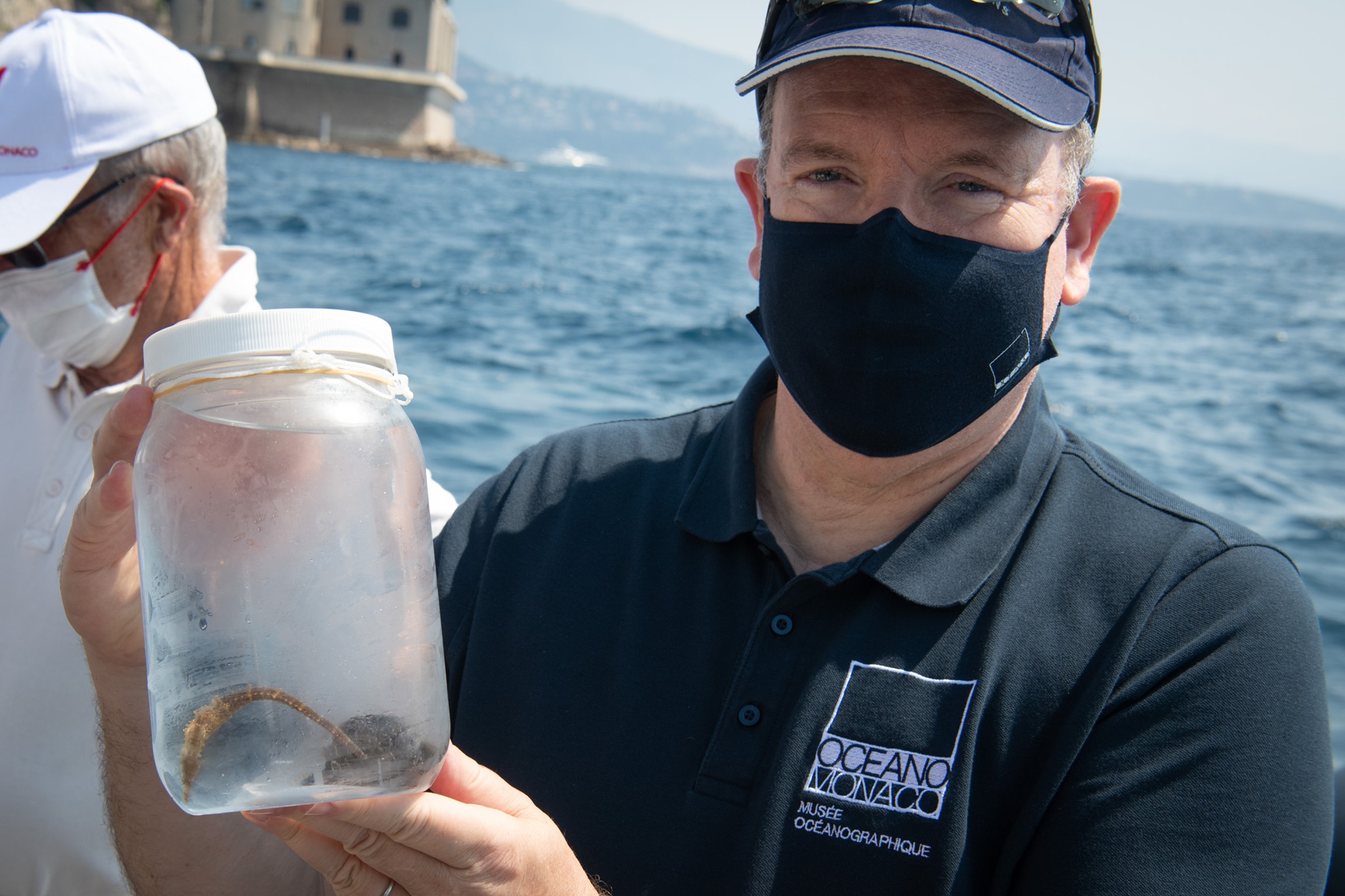 Wiederansiedlung von Seepferdchen vor Monaco
