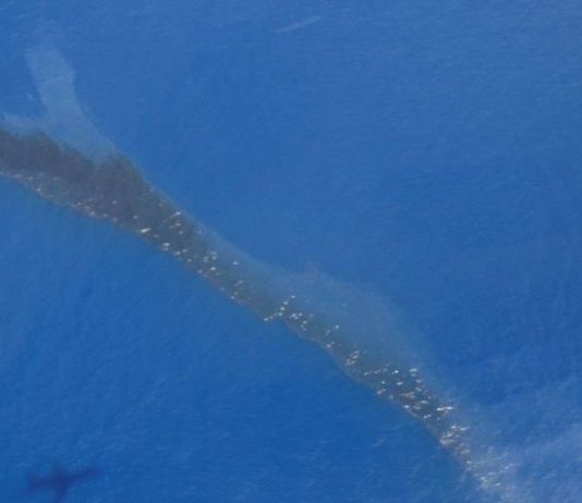 Ölteppich vor Korsika: Nur noch 800 Meter von der Küste entfernt