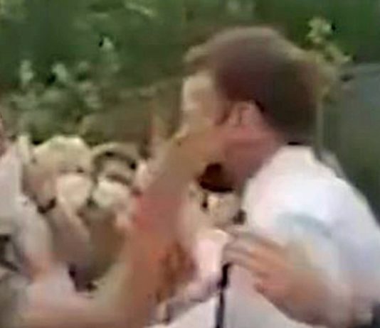 Macron geohrfeigt: Politiker aller Lager verurteilen diese Tat