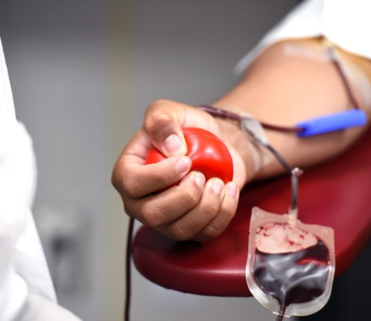 Blutplasma: Frankreich ringt um seine gesundheitspolitische Souveränität Blutspende