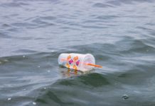 Plastikpakt geplatzt? Warum der globale Vertrag gegen Plastikverschmutzung feststeckt – und was das für Mensch und Umwelt bedeutet Plastik-im-Meer