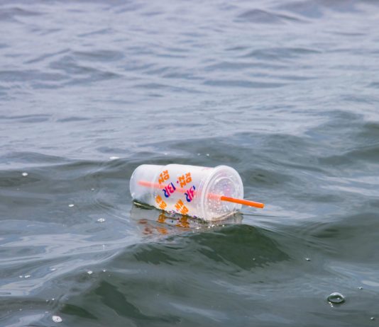 Plastikpakt geplatzt? Warum der globale Vertrag gegen Plastikverschmutzung feststeckt – und was das für Mensch und Umwelt bedeutet Plastik-im-Meer