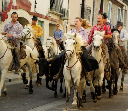 Bälle, Jahrmärkte, 14. Juli – sind Dorffeste diesen Sommer wieder erlaubt?