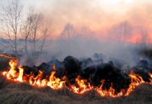 Hitzewelle, Trockenheit, Wind: 14 Wälder in den Bouches-du-Rhône gesperrt – Frankreichs Kampf gegen die Feuergefahr Waldbrände