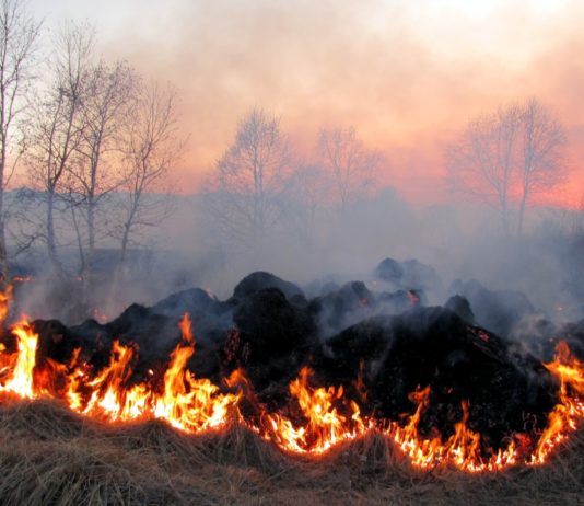 Hitzewelle, Trockenheit, Wind: 14 Wälder in den Bouches-du-Rhône gesperrt – Frankreichs Kampf gegen die Feuergefahr Waldbrände