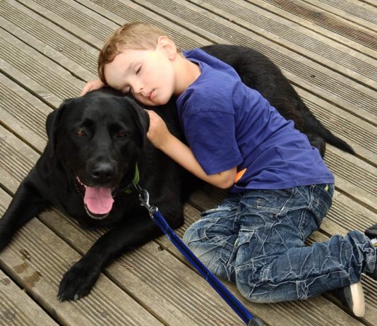 Justiz: Ein Hund beruhigt die Opfer bei Gerichtsverhandlungen