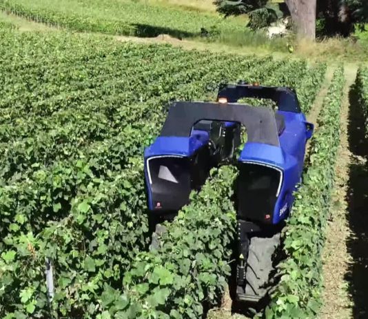 Ein erster 100% autonomer Roboter ersetzt die Arbeiter in den Weinbergen der Provence