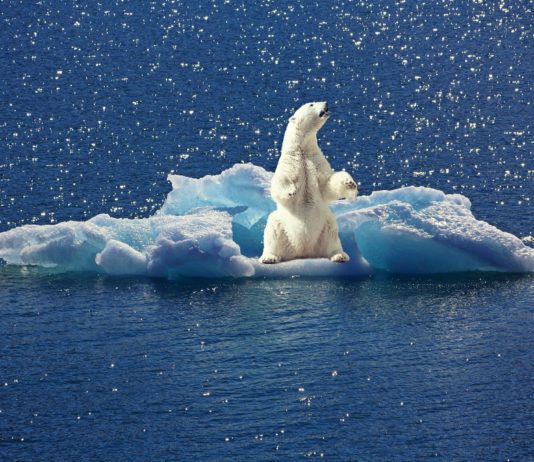 Klimawandel: Klage gegen 5 Minister wegen Untätigkeit