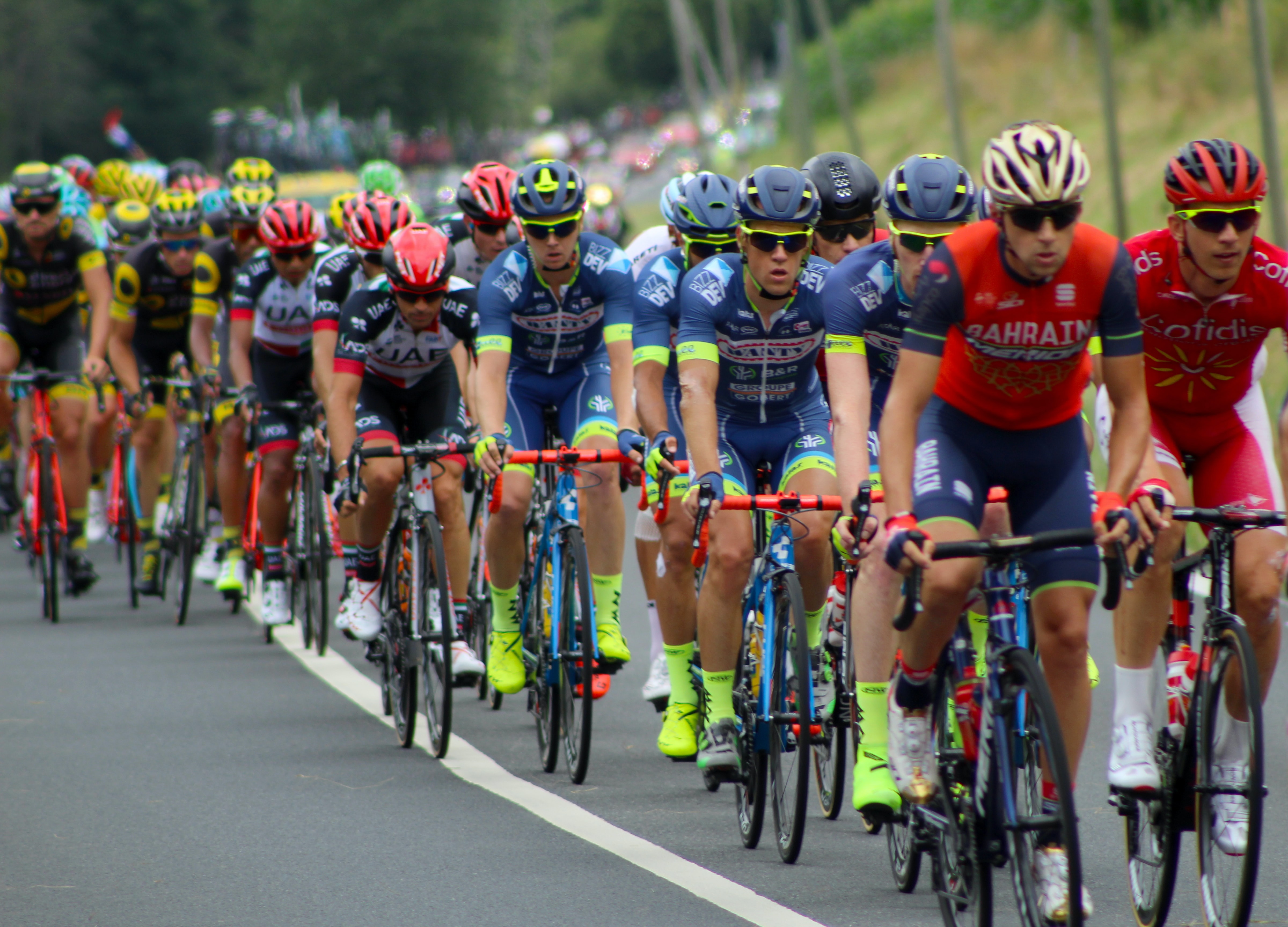Morgen beginnt die Tour de France 2021