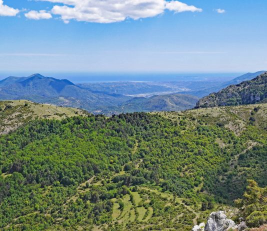 Ferien: Die Reservierungen an der Côte d’Azur laufen auf Hochtouren