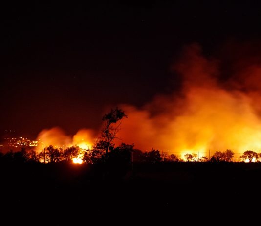 Aude: Feuer zerstört 850 Hektar Wald