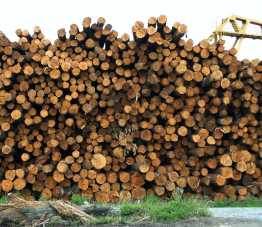 Earth Overshoot Day: Die Menschheit hat für 2021 bereits alle Ressourcen der Welt verbraucht