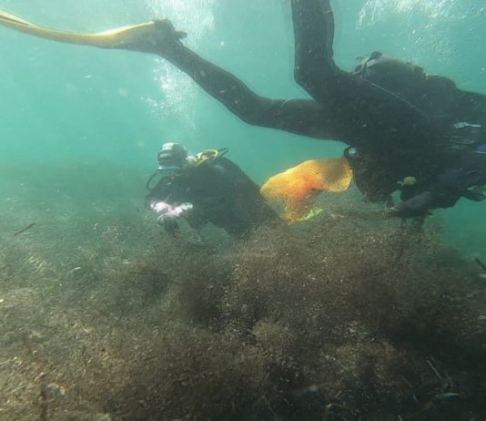 In Saint-Jean-Cap-Ferrat säubern Freiwillige das Mittelmeer von Abfall