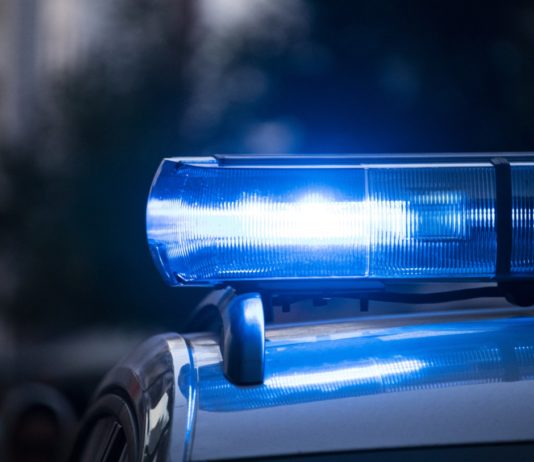 Nord: 10-Jähriger wird nach Verfolgungsjagd am Steuer eines gestohlenen Autos festgenommen Polizei_Illustration