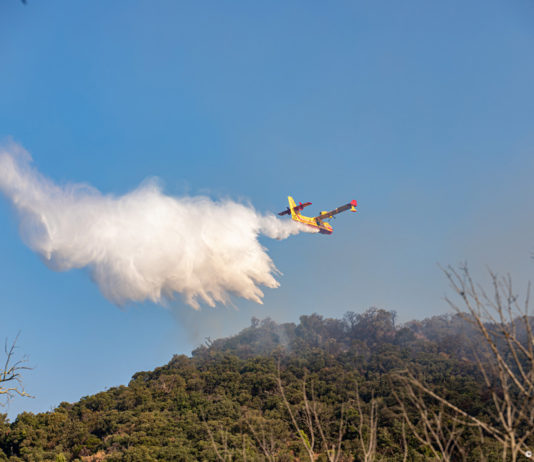 Brände im Departement Var: Emmanuel Macron vor Ort erwartet