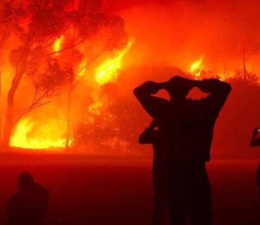 Algerien erstickt im Rauch der Brände und Frankreich schickt Löschflugzeuge