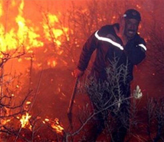 Nun auch in Algerien: Mindestens fünf Tote bei sich ausbreitenden Waldbränden