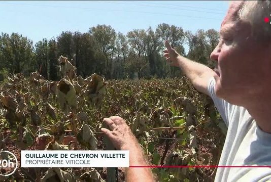 Feuer im Var: Einige Winzer sind stark betroffen