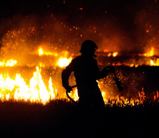 Feuerhölle an der A61 – Fast 500 Hektar Wald bei Douzens in Flammen aufgegangen Waldbrände