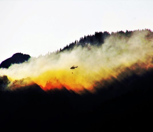 Nun auch Südportugal von großem Waldbrand betroffen