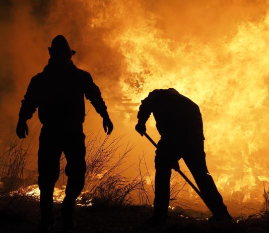 „Bleiben Sie weg!“ – Präfekt warnt vor tödlichem Inferno bei Narbonne Waldbrand_Klimawandel