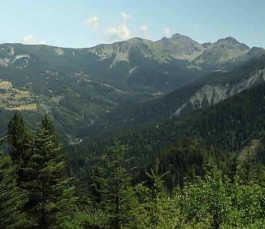 Hautes-Alpes: Mehrere Menschen verschwinden auf mysteriöse Weise im Boscodon-Wald