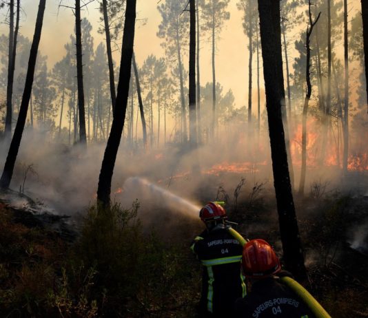 Dürre: In der Ardèche brechen Brände aus – zu früh für die Jahreszeit