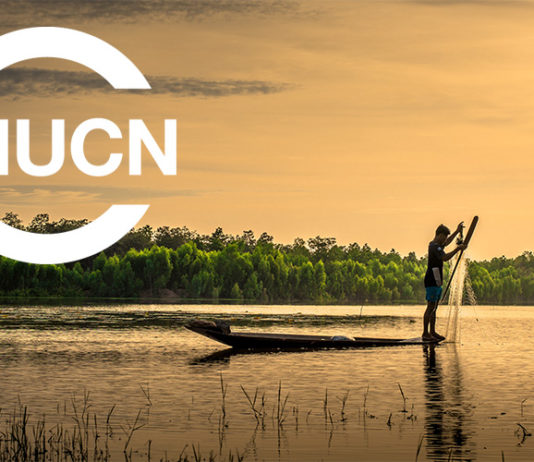 Weltnaturschutzkongress fordert „radikale Veränderungen“