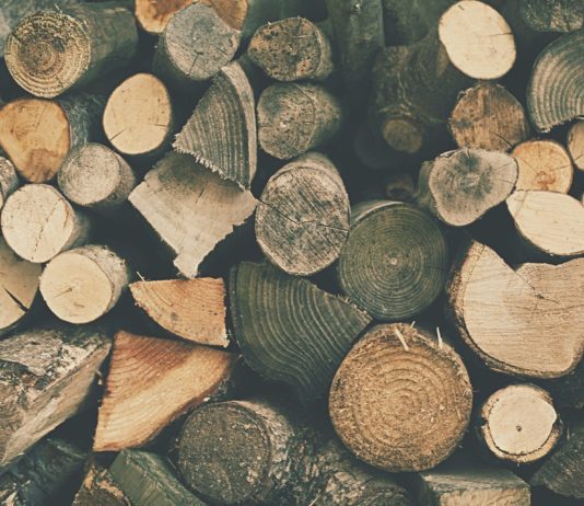 „Holz“ in der Sprache