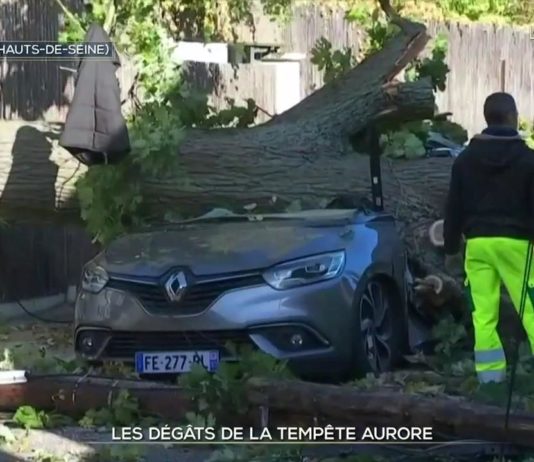 Sturm Aurora: 120.000 Haushalte am Mittag immer noch ohne Strom