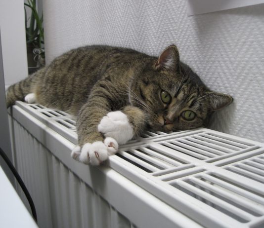 Frankreich erhöht Zuschüsse für klimafreundliche Heizungen auf 9.000 Euro pro Haus