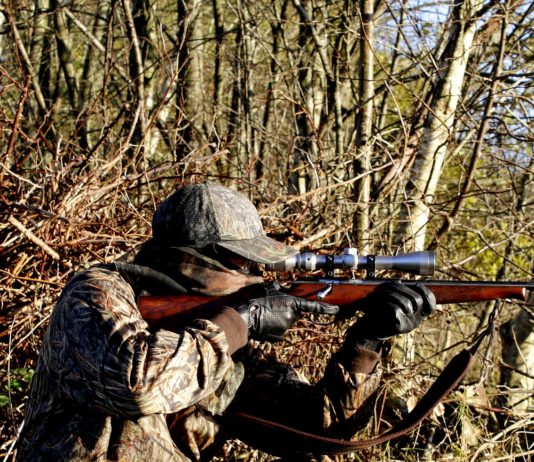 Jagdunfall: Autofahrer wird in der Nähe von Rennes durch einen Schuss schwer verletzt Jagd_Jäger