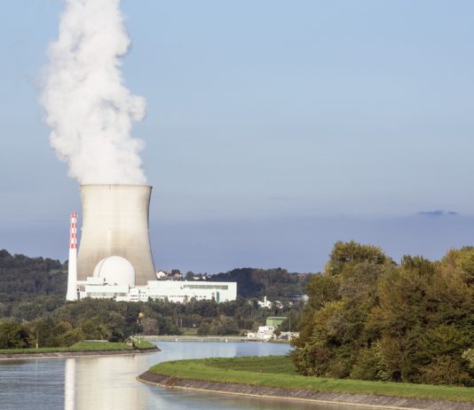 Energie: „Abgesehen vom Risiko ist die Atomkraft zu langsam und zu teuer“ kritisiert Umweltschützer Kernkraftwerk