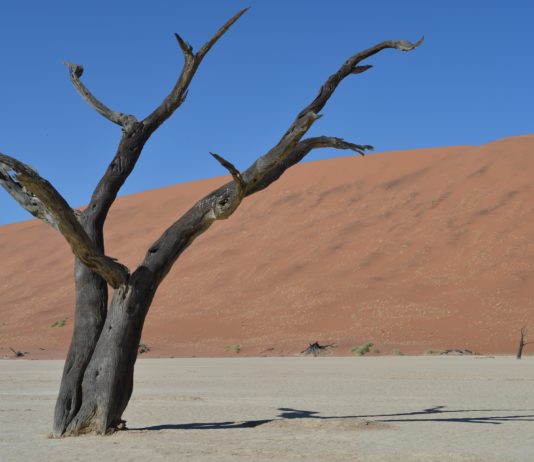 Klima: 50 Grad in Frankreich im Jahr 2050?