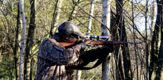 Der tödliche Irrtum – Wenn ein Schuss genügt Jagd_Jäger