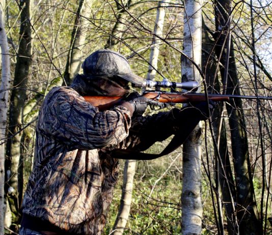 Tragödie nur knapp vermieden: Die Kugel eines Jägers trifft das Fahrzeug eines Rentnerehepaars Jagd_Jäger