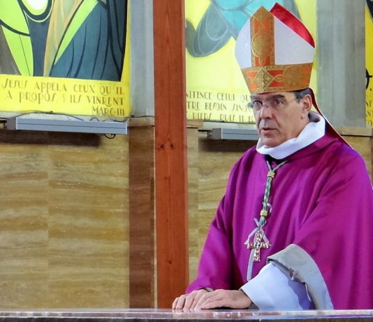 Kirche: Der Erzbischof von Paris, Mgr Aupetit, hat dem Papst seinen Rücktritt angeboten