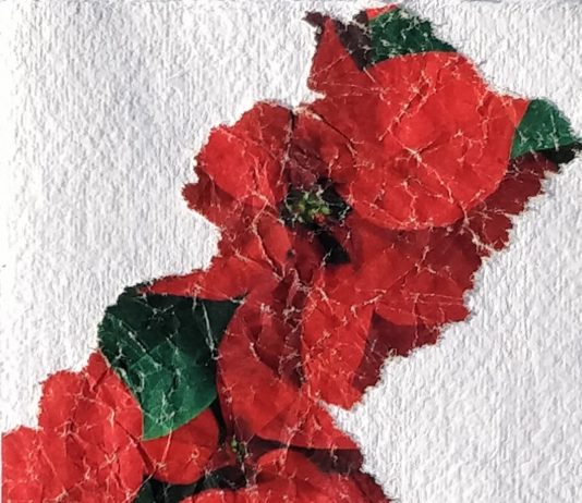 Wohin mit dem Geschenkpapier?