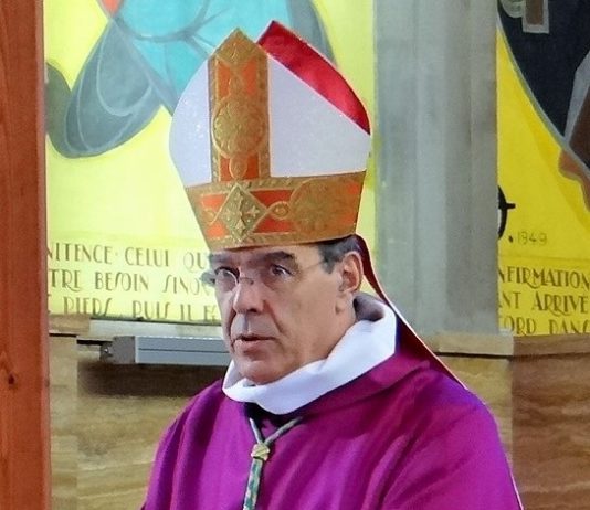 Papst nimmt den Rücktritt des Erzbischofs von Paris an Michel_Aupetit