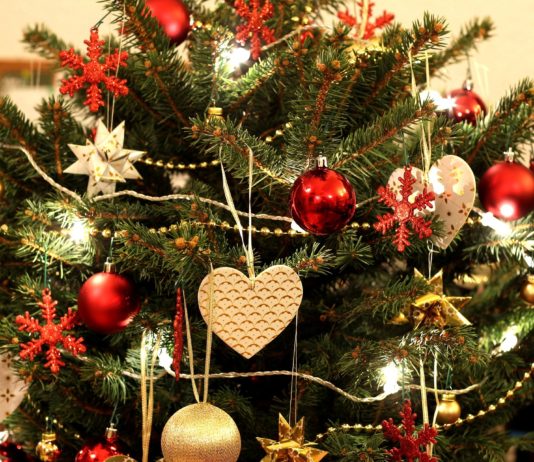 Was tun mit dem Weihnachtsbaum nach den Feiertagen? Weihnachtsbaum