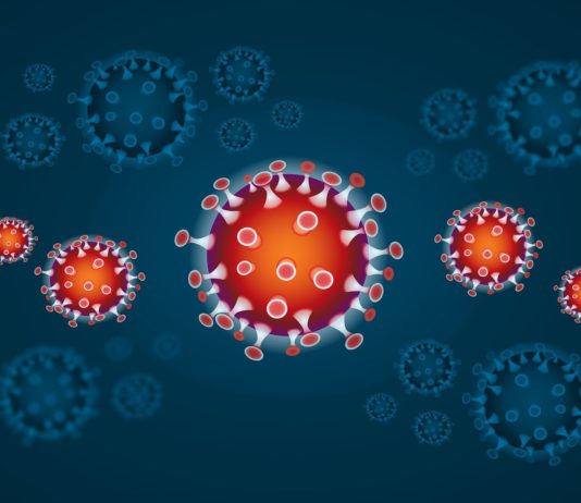 Covid-19: Verteidigungsrat für Gesundheit am Montag im Elysée-Palast