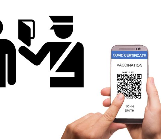 Covid-19: Gesundheitspass, Masken… welche Maßnahmen kann die Regierung einführen? Impfpass_Gesundheitspass_Reisen