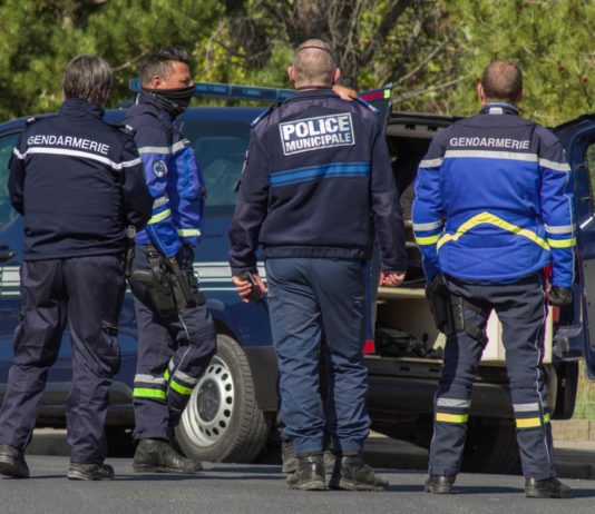 Polizisten suchen nach einer im Departement Nord frei herumlaufenden Löwin Gendarmerie_Polizei_Illustration