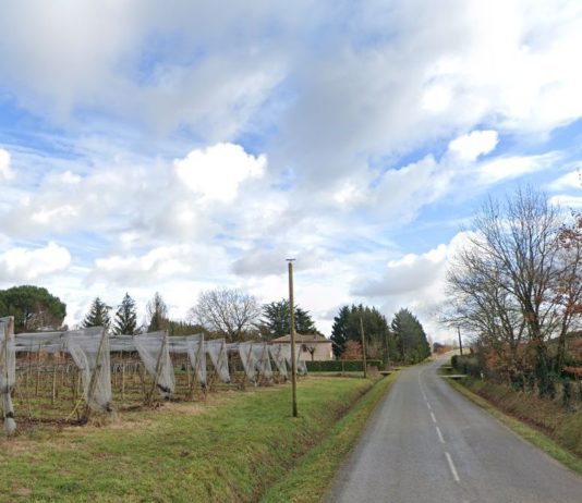 Enthaupteter Mann in Tarn-et-Garonne entdeckt: Was man über die Ermittlungen weiß