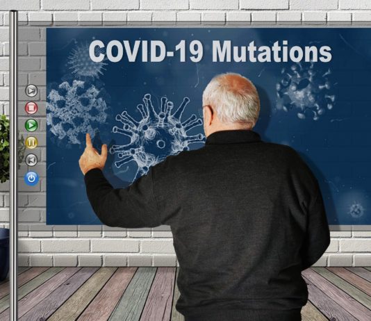 Covid-19: Lässt die neue Omikron-Variante BQ.1.1 die Epidemie in Frankreich wieder aufleben? Covid-19-Varianten